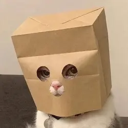 Anonymous Cat (ZCAT)
